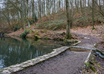 Teich im Witthausbusch