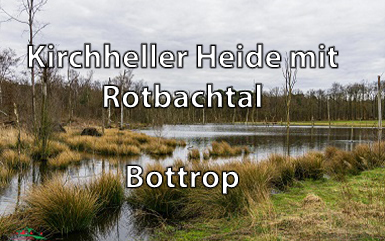 Kirchheller Heide mit Rotbachtal